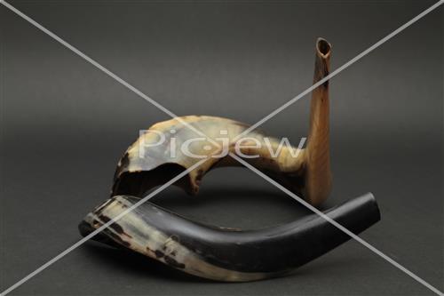 shofar