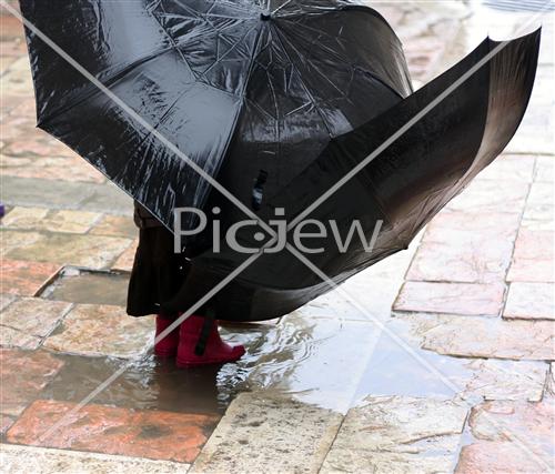 Children in the rain