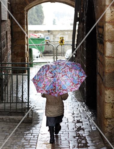 Children in the rain