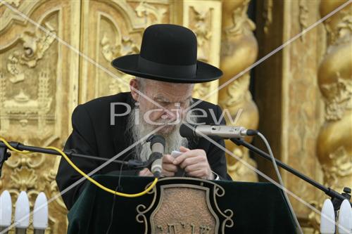 הרב גרשון אדלשטיין