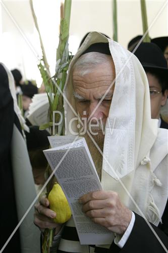 הרב גרשון אדלשטיין