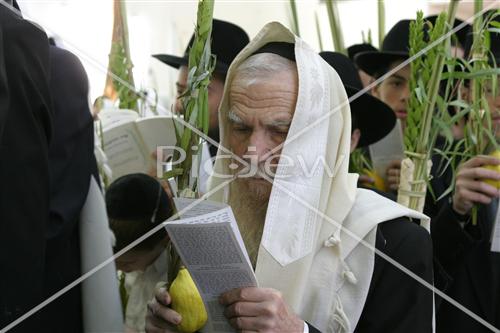 הרב גרשון אדלשטיין