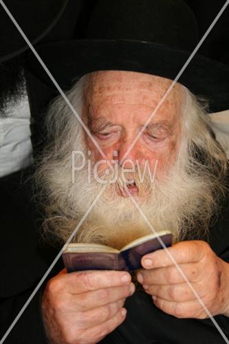 Rabbi Chaim Kanievsky