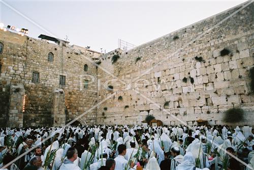 תפילת חג סוכות בכותל המערבי