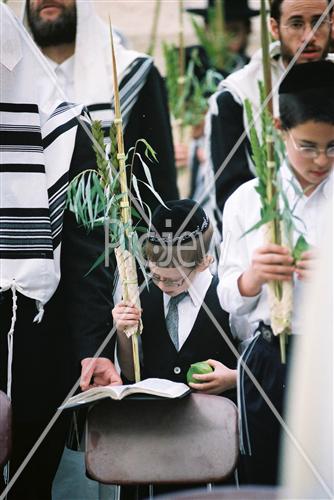 תפילת חג סוכות בכותל המערבי