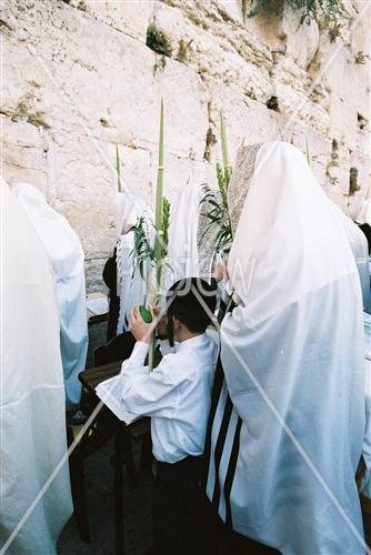 תפילת חג סוכות בכותל המערבי