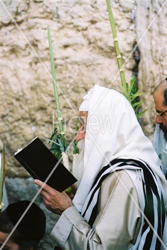 תפילת חג סוכות בכותל המערבי