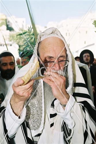 Gigantic Lulav and Etrog