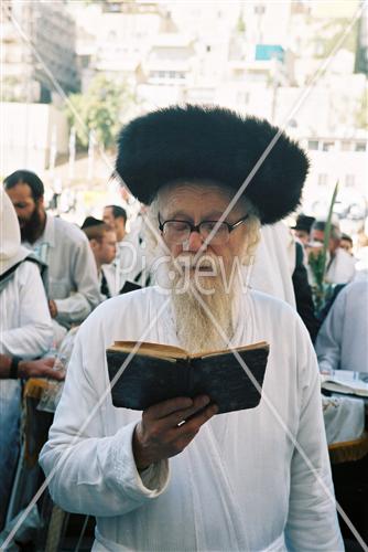 תפילת חג סוכות בכותל המערבי