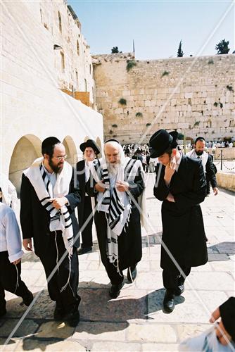 Gigantic Lulav and Etrog