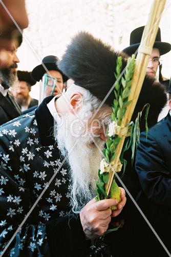 תפילת חג סוכות בכותל המערבי