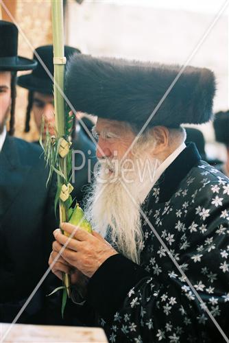 תפילת חג סוכות בכותל המערבי