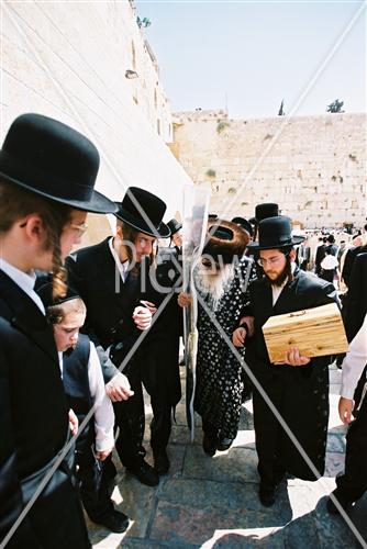 Gigantic Lulav and Etrog