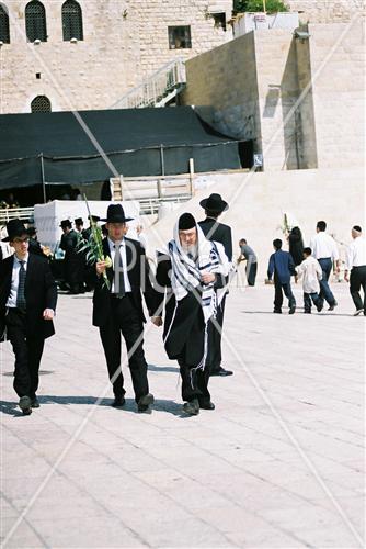 תפילת חג סוכות בכותל המערבי