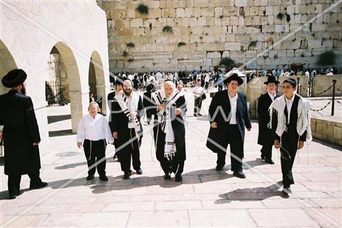 Gigantic Lulav and Etrog