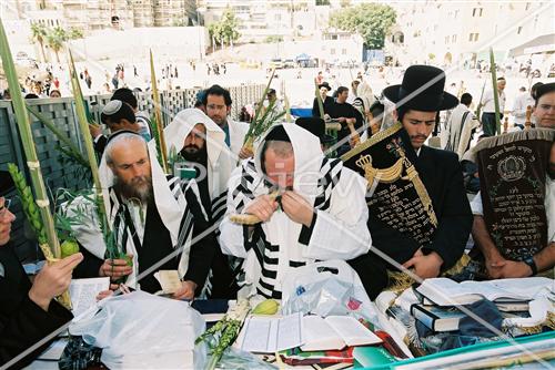 Gigantic Lulav and Etrog