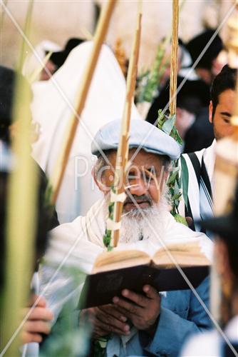 Gigantic Lulav and Etrog