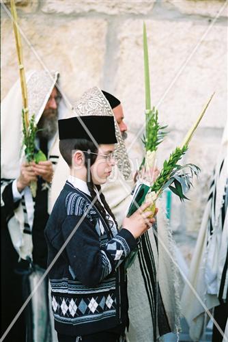 תפילת חג סוכות בכותל המערבי