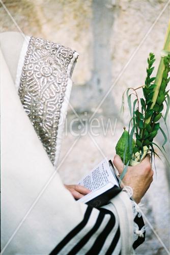 Gigantic Lulav and Etrog