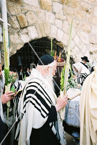 Gigantic Lulav and Etrog