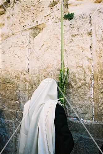 Gigantic Lulav and Etrog