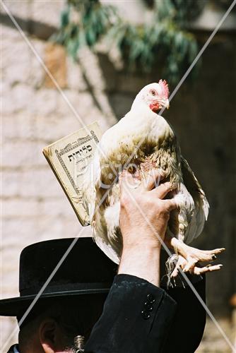 כפרות בשכונת מאה שערים