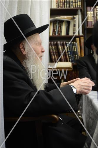 Rabbi Aryeh Finkel