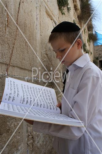 a boy in the wall