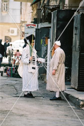 הושענא רבה