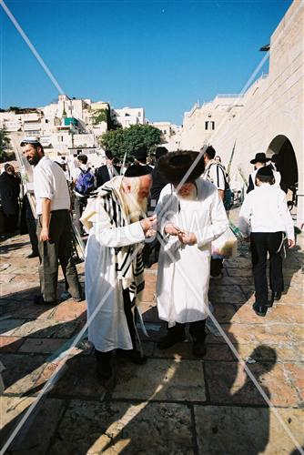 הושענא רבה