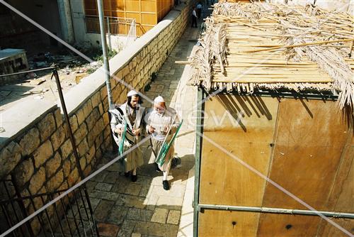 sukkot