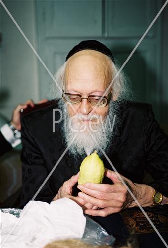 Rabbi Elyashiv