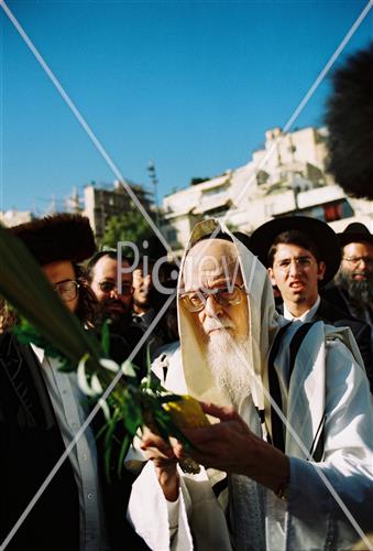 הרב אלישיב בחג הסוכות