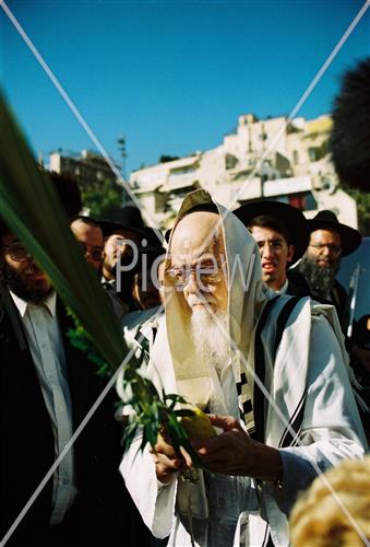 הרב אלישיב בחג הסוכות