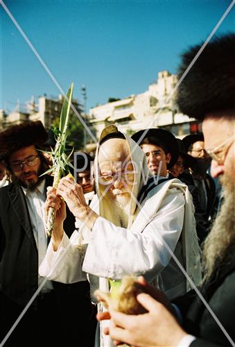 הרב אלישיב בחג הסוכות