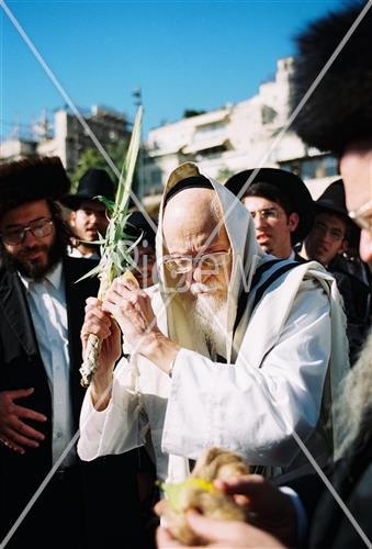 הרב אלישיב בחג הסוכות