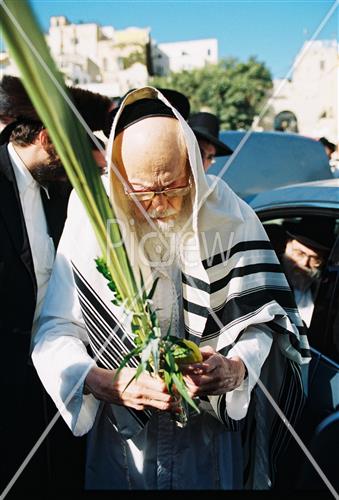 Rabbi Elyashiv