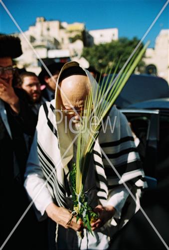 הרב אלישיב בחג הסוכות