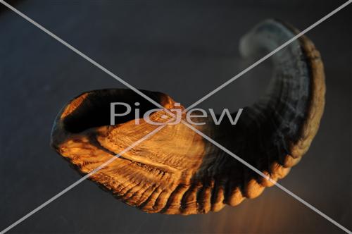 shofar