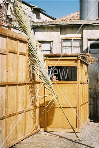 Sukkot