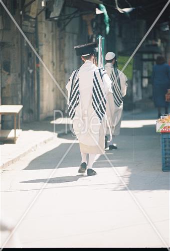 ארבעת המינים