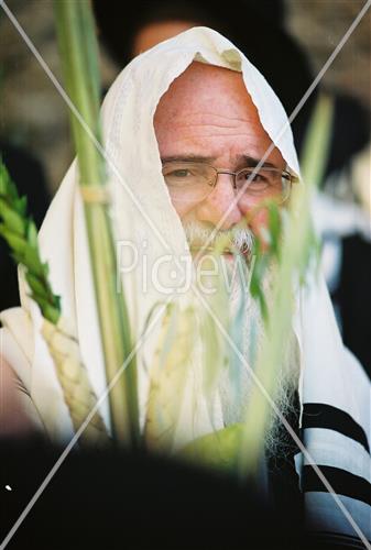 ארבעת המינים