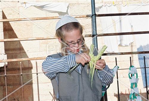 ארבעת המינים