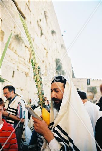 ארבעת המינים