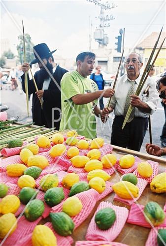 ארבעת המינים