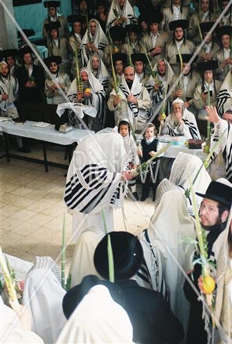 ארבעת המינים