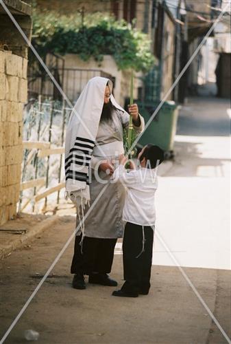 ארבעת המינים