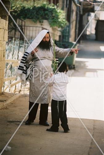 ארבעת המינים