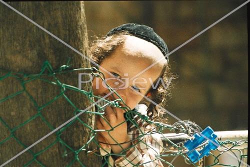 Daily life in Jerusalem