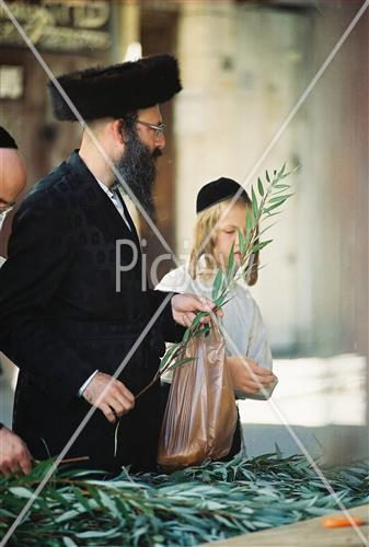 הויי החיים בירושלים